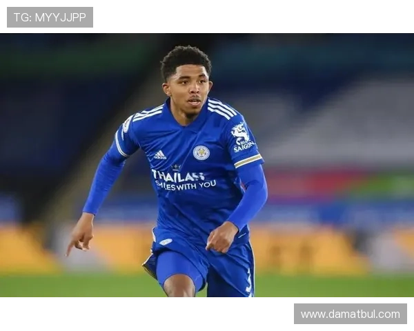 福法纳：渴望助切尔西再夺冠